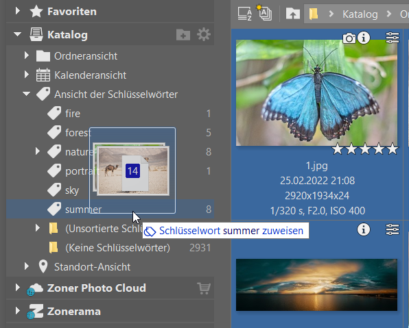 Teil 2 So bringen Sie Ordnung in Ihre Fotos, schlusselwort
