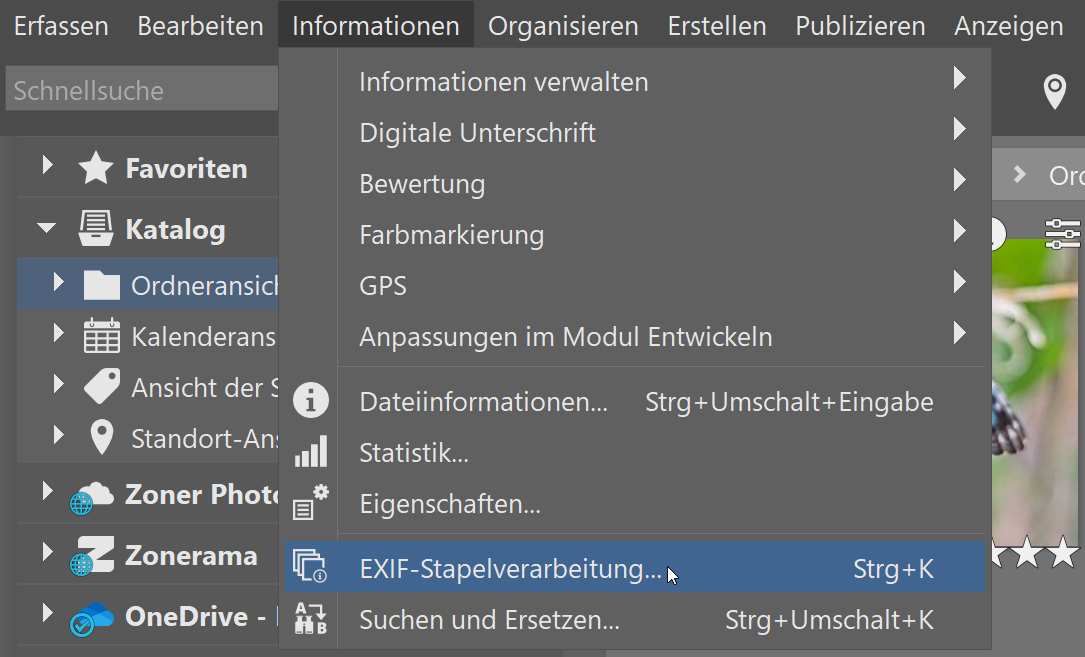 Teil 2 So bringen Sie Ordnung in Ihre Fotos, stapelverabeitung