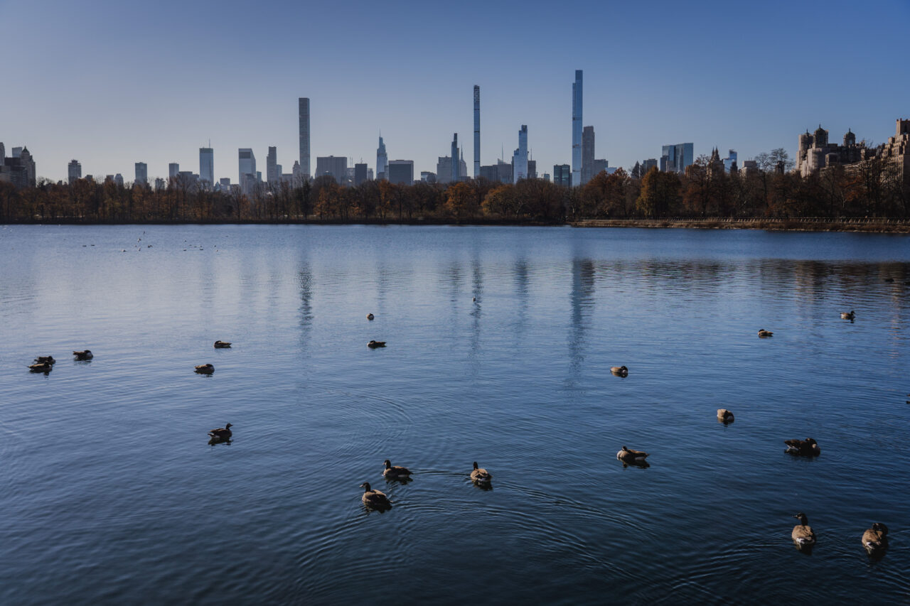 Wohin im Januar?, New York (USA), Central park