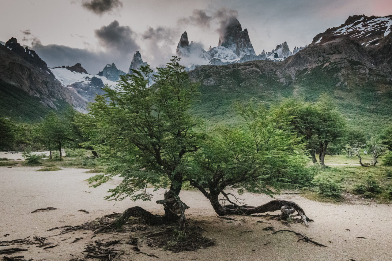 Wohin im Januar?, Patagonien (Chile und Argentinien), der Berg Fitz Roy 