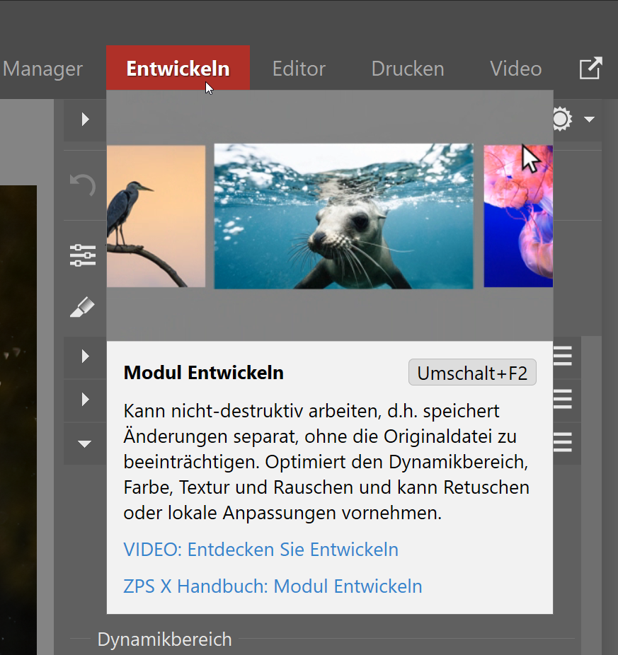Teil 3 So verwenden Sie das Modul Entwickeln, entwickeln