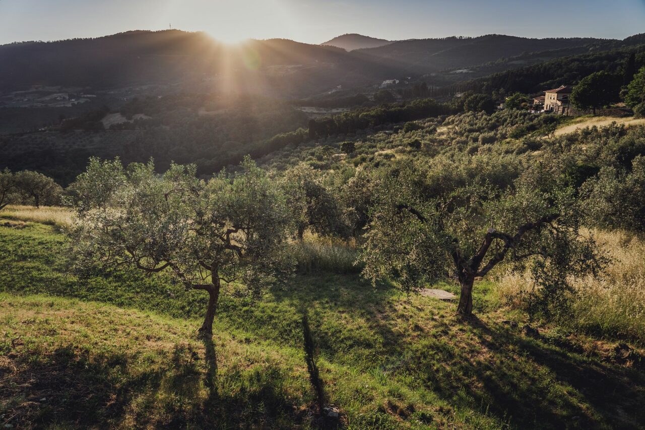 © Ondrej Čechvala, Hügel um Greve in Chianti