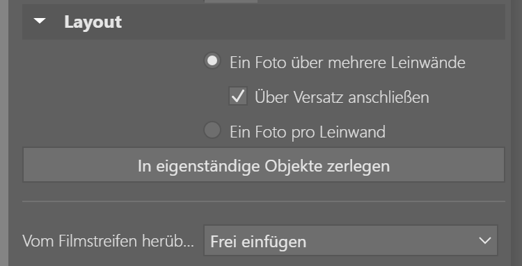 Fotoleinwände nach Maß: Teilen Sie Ihr Foto auf mehrere Leinwände auf