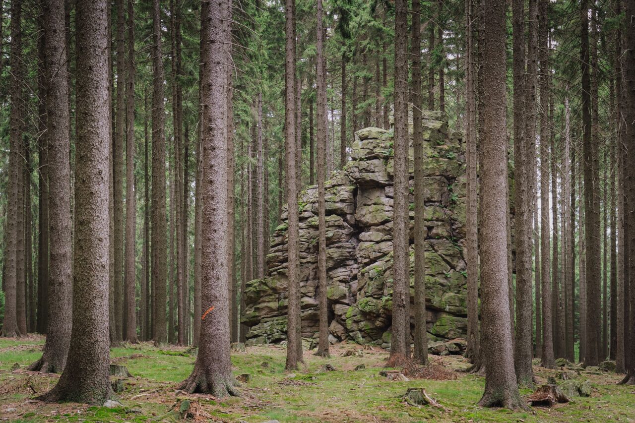 © Ondrej Čechvala, Saarer Berge, Tschechische Republik