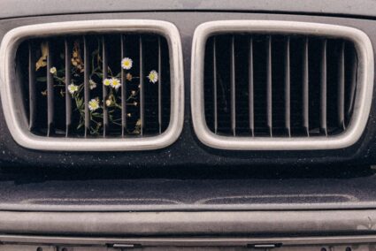 5 Gründe, warum man langfristig fotografieren sollte