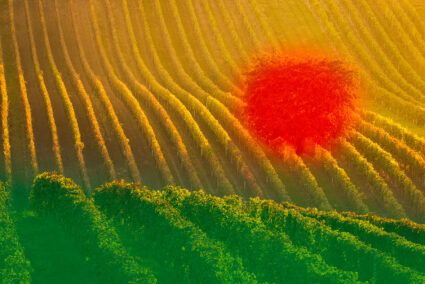 Das Geheimnis außergewöhnlicher Fotos: Kombinieren von Masken in Zoner Studio
