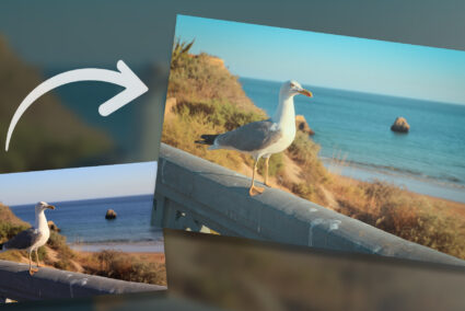 So erzielen Sie in Zoner Studio die Atmosphäre analoger Fotos