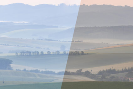 5 Anpassungen, die Sie bei jedem Foto als Erstes vornehmen sollten