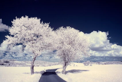 Infrarotfotografie: Grundlagen und erste Schritte