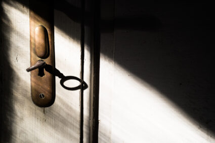 Wenn das Licht für Sie entscheidet: So lassen Sie sich beim Fotografieren vom natürlichen Licht leiten