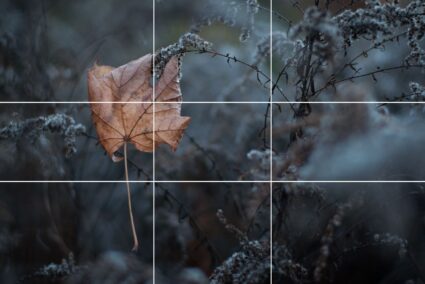 Fotografieren nach dem Goldenen Schnitt: Raster, Spirale und praktische Tipps