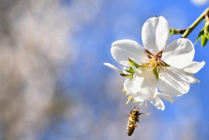 So verdienen Sie Geld mit Bilddatenbanken: Praxiserfahrungen eines Fotografen