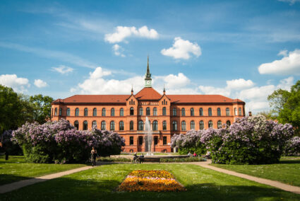 Zentralkomposition in der Fotografie: Tipps, Tricks und Inspiration für Porträts, Architektur und Landschaft